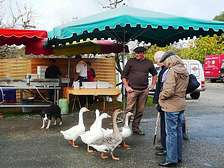 Markets in the Dordogne-Lot from holiday park cottages of Domaine de Gavaudun