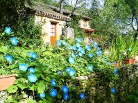 Holidays_cottages_resort_Dordogne_Gavaudun_035